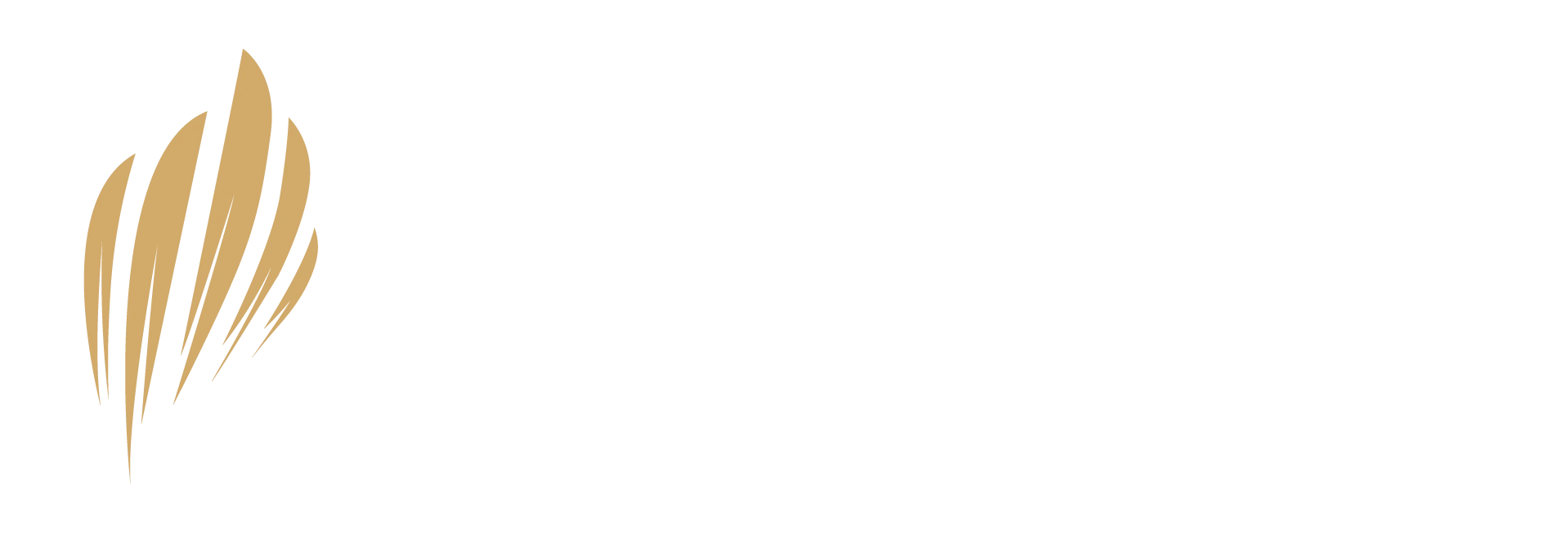 Elyon Church